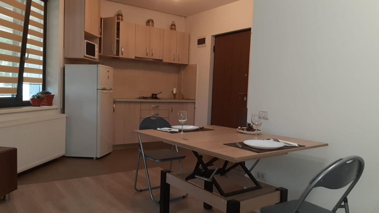 Casa Sara Διαμέρισμα Βουκουρέστι Εξωτερικό φωτογραφία